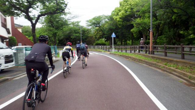 江戸川サイクリングロード　グループライド　関宿城